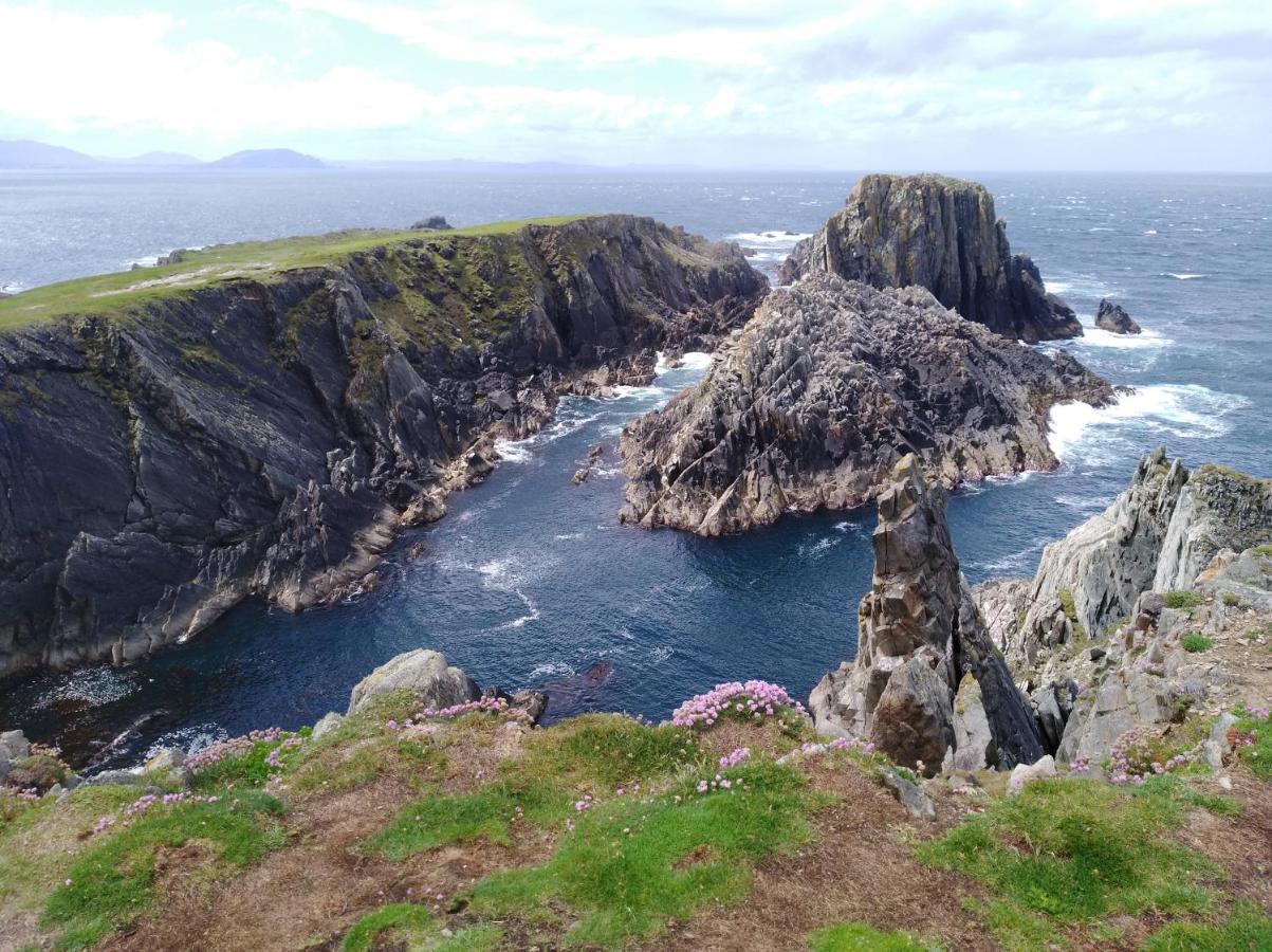 Madra Rua Organic Accommodation Ballyliffin Dış mekan fotoğraf