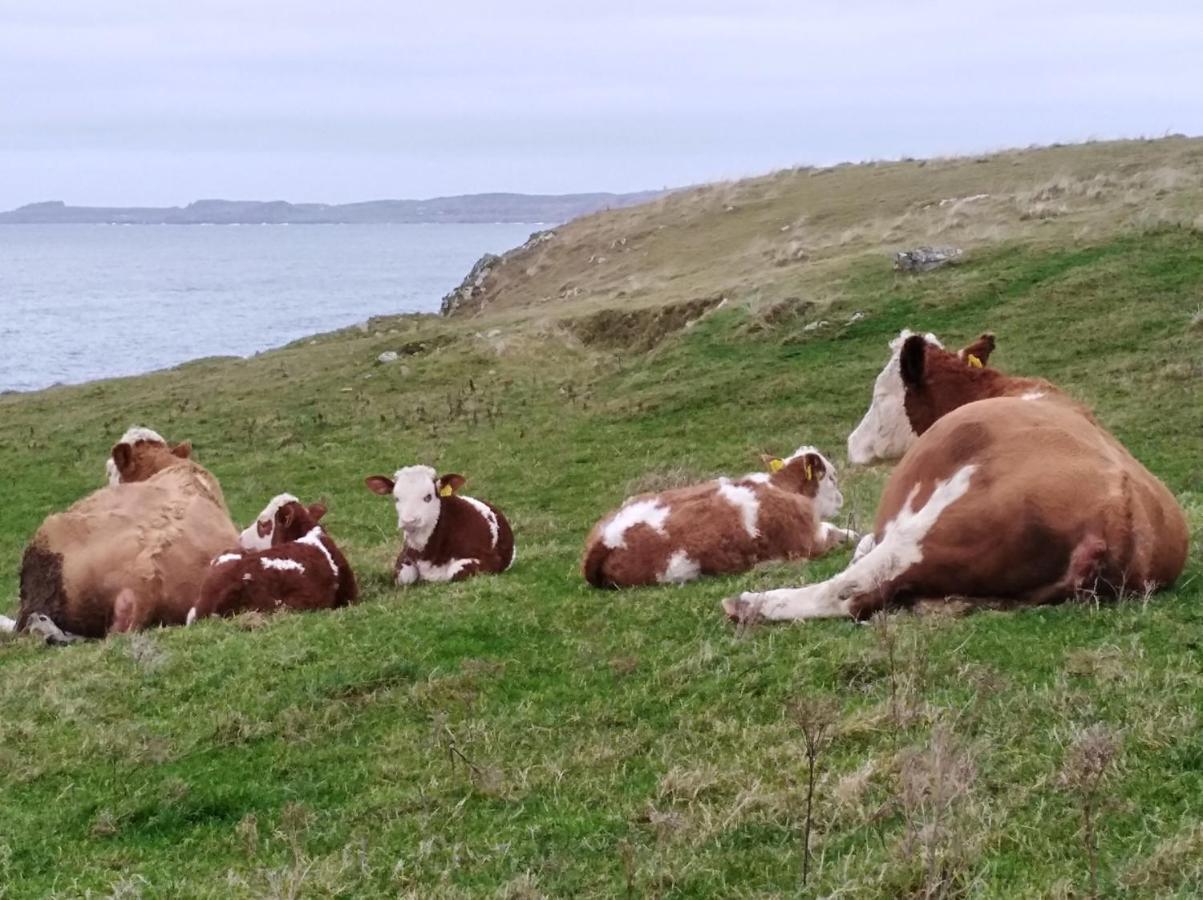 Madra Rua Organic Accommodation Ballyliffin Dış mekan fotoğraf